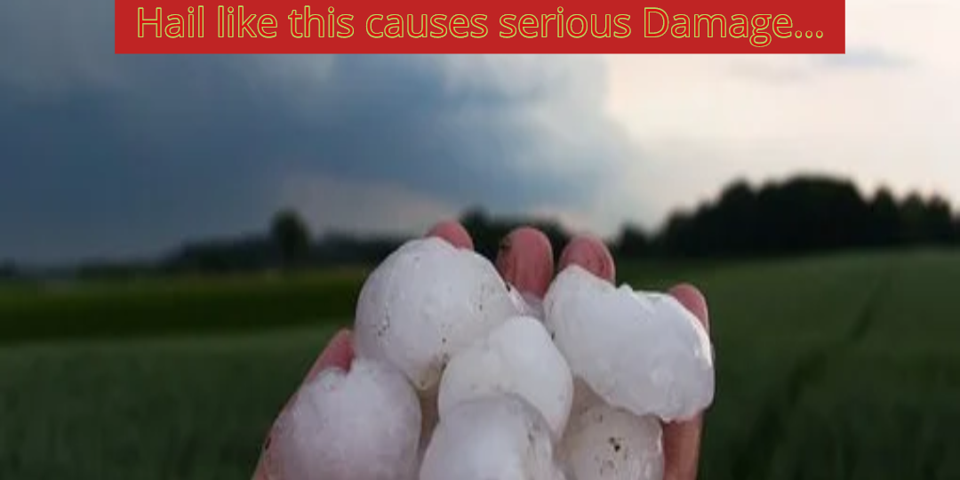 Hail this big causes serious damage