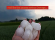 Hail this big causes serious damage