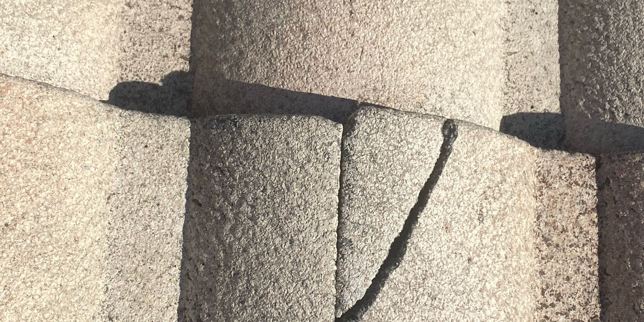 Best Public Adjuster